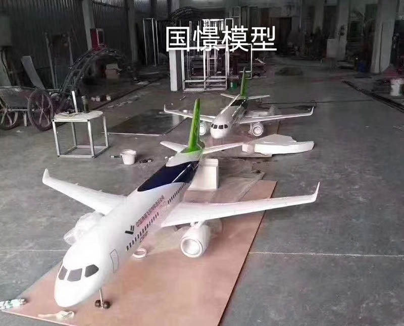 龙港市飞机模型